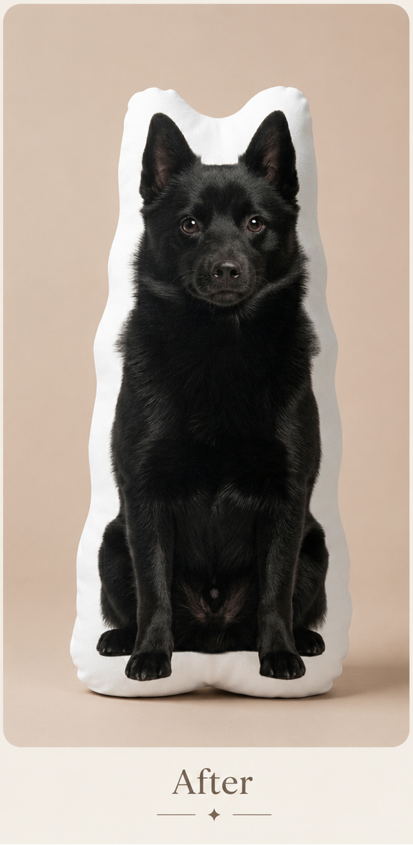 A side-by-side comparison showing a black dog seated against a beige studio background, labeled 'Before' on the left and 'After' on the right. The dog appears inside a white cushion or pillow-like product on the right, demonstrating a custom pet portrait or pet-shaped cushion.