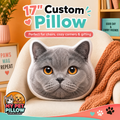 17" Custom Pillow!