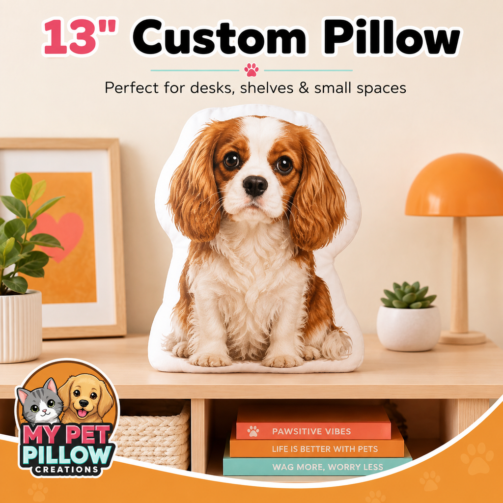 13" Custom Pillow!